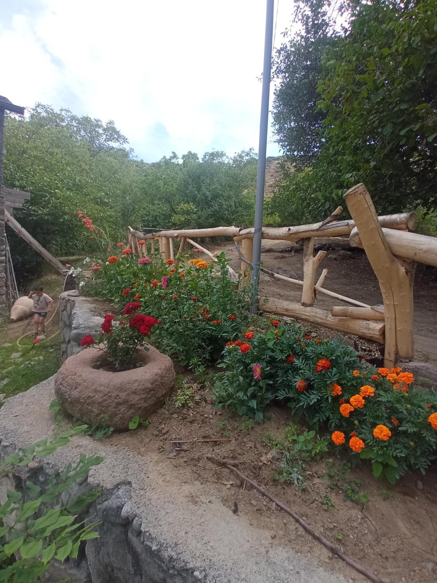 Hors'S Home المظهر الخارجي الصورة
