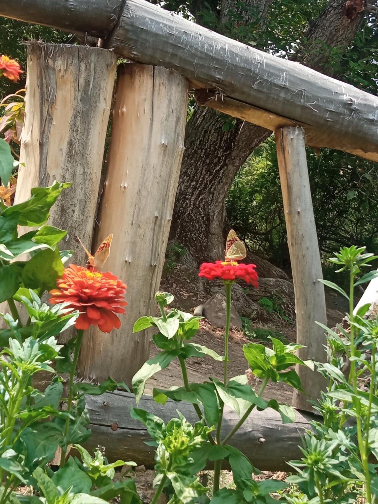Hors'S Home المظهر الخارجي الصورة
